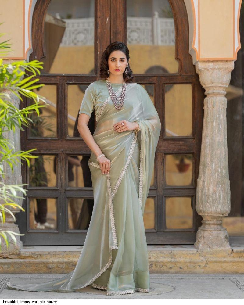 BEAUTIFUL JIMMY CHU SILK SAREE