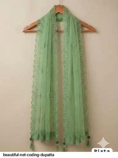 BEAUTIFUL NET CODING DUPATTA 1