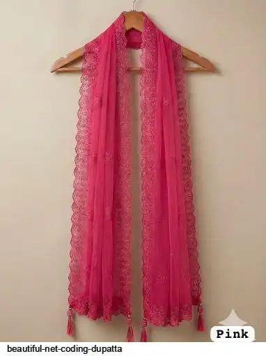 BEAUTIFUL NET CODING DUPATTA 3