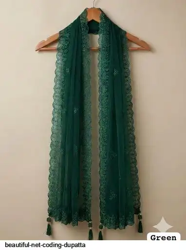 BEAUTIFUL NET CODING DUPATTA 2