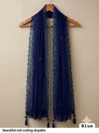 BEAUTIFUL NET CODING DUPATTA 7