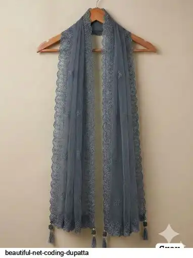 BEAUTIFUL NET CODING DUPATTA 4