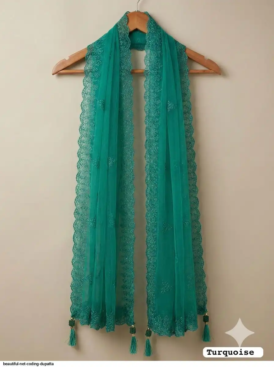 BEAUTIFUL NET CODING DUPATTA 6