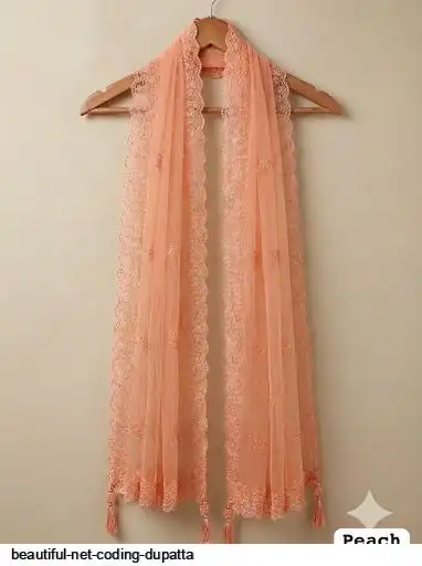 BEAUTIFUL NET CODING DUPATTA 5