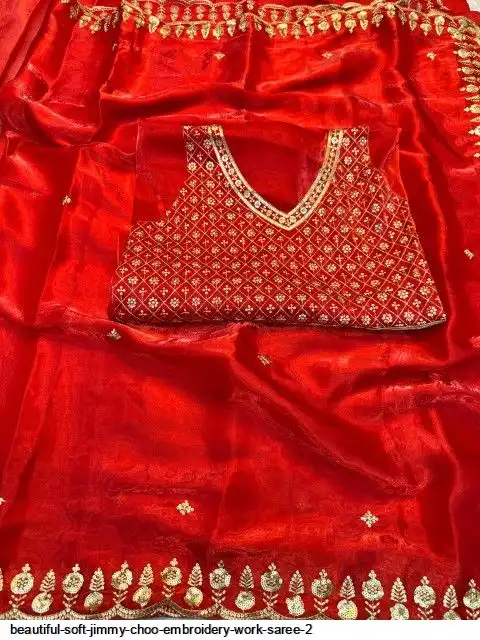 BEAUTIFUL SOFT JIMMY CHOO EMBROIDERY WORK SAREE 2