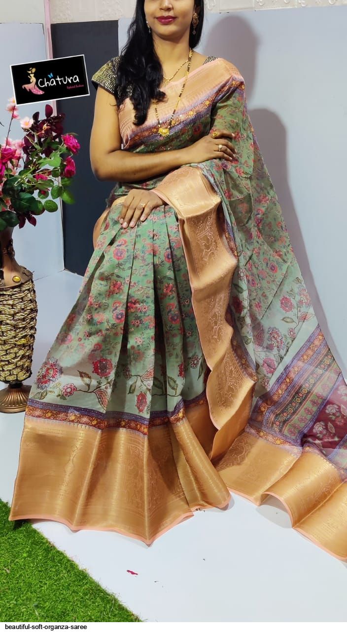 Beautiful SOFT organza SAREE