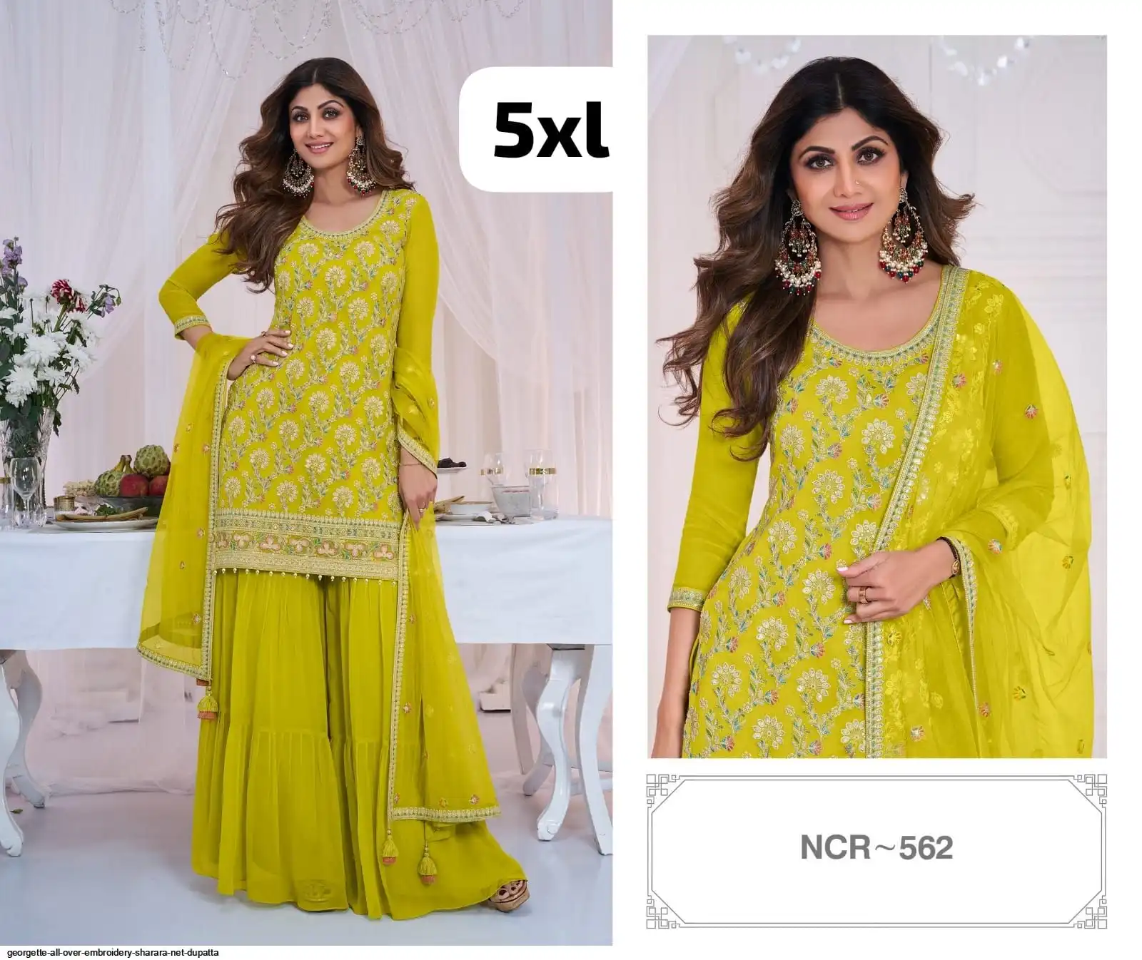 GEORGETTE ALL OVER EMBROIDERY SHARARA NET DUPATTA 4