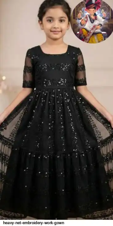 HEAVY NET EMBROIDERY WORK GOWN B