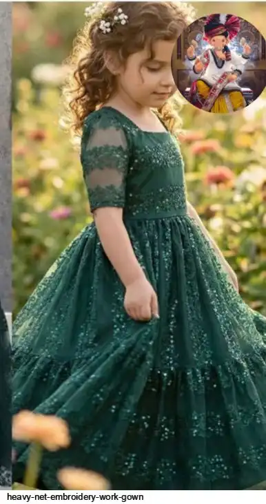 HEAVY NET EMBROIDERY WORK GOWN E
