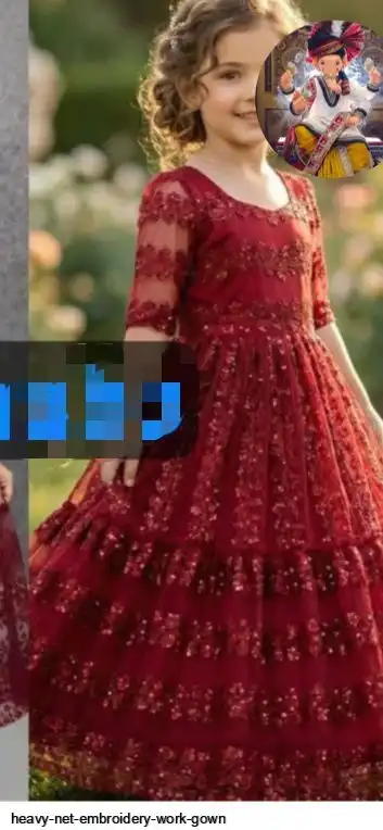 HEAVY NET EMBROIDERY WORK GOWN G