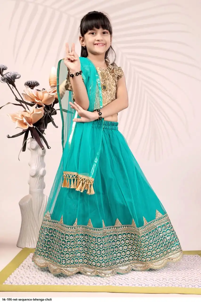 HK 186 NET SEQUENCE LEHENGA CHOLI 6