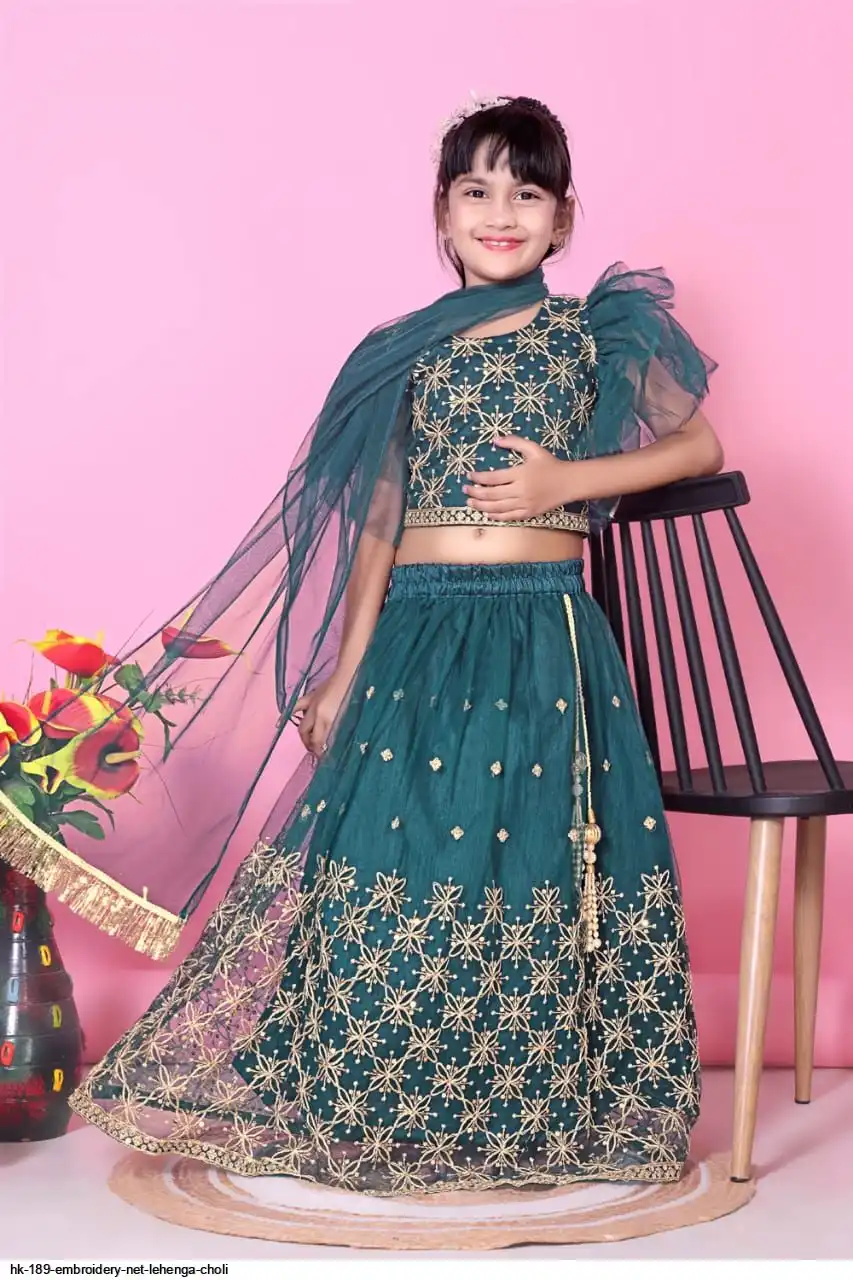 HK 189 EMBROIDERY NET LEHENGA CHOLI 1