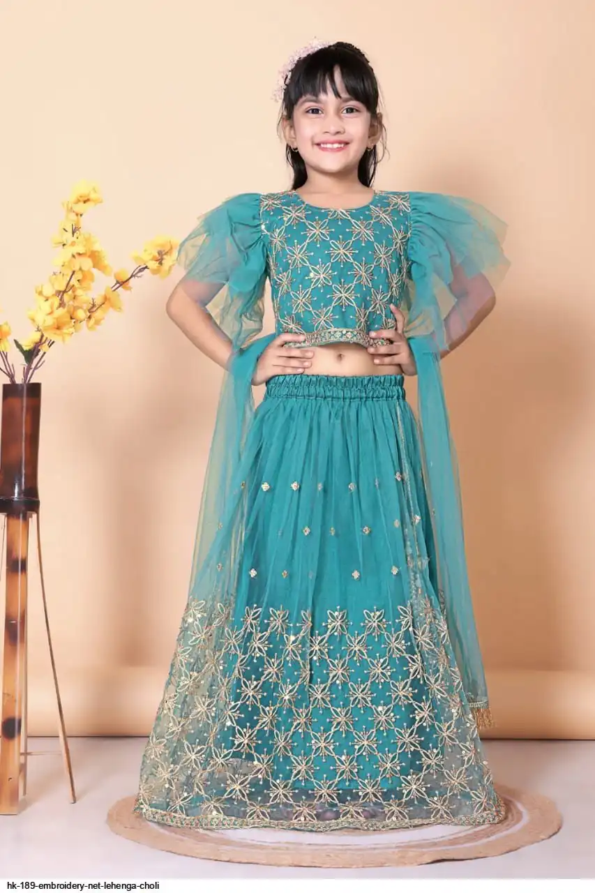HK 189 EMBROIDERY NET LEHENGA CHOLI 5