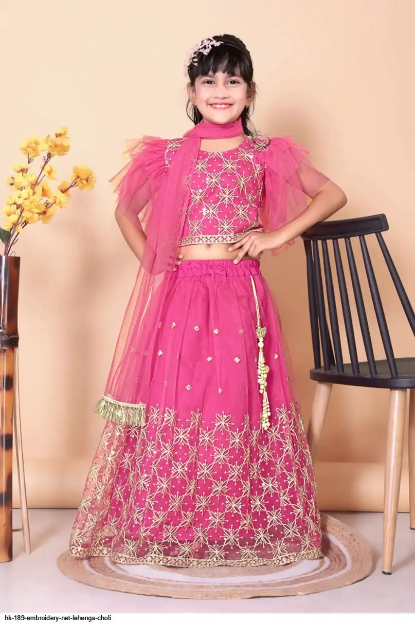 HK 189 EMBROIDERY NET LEHENGA CHOLI 10