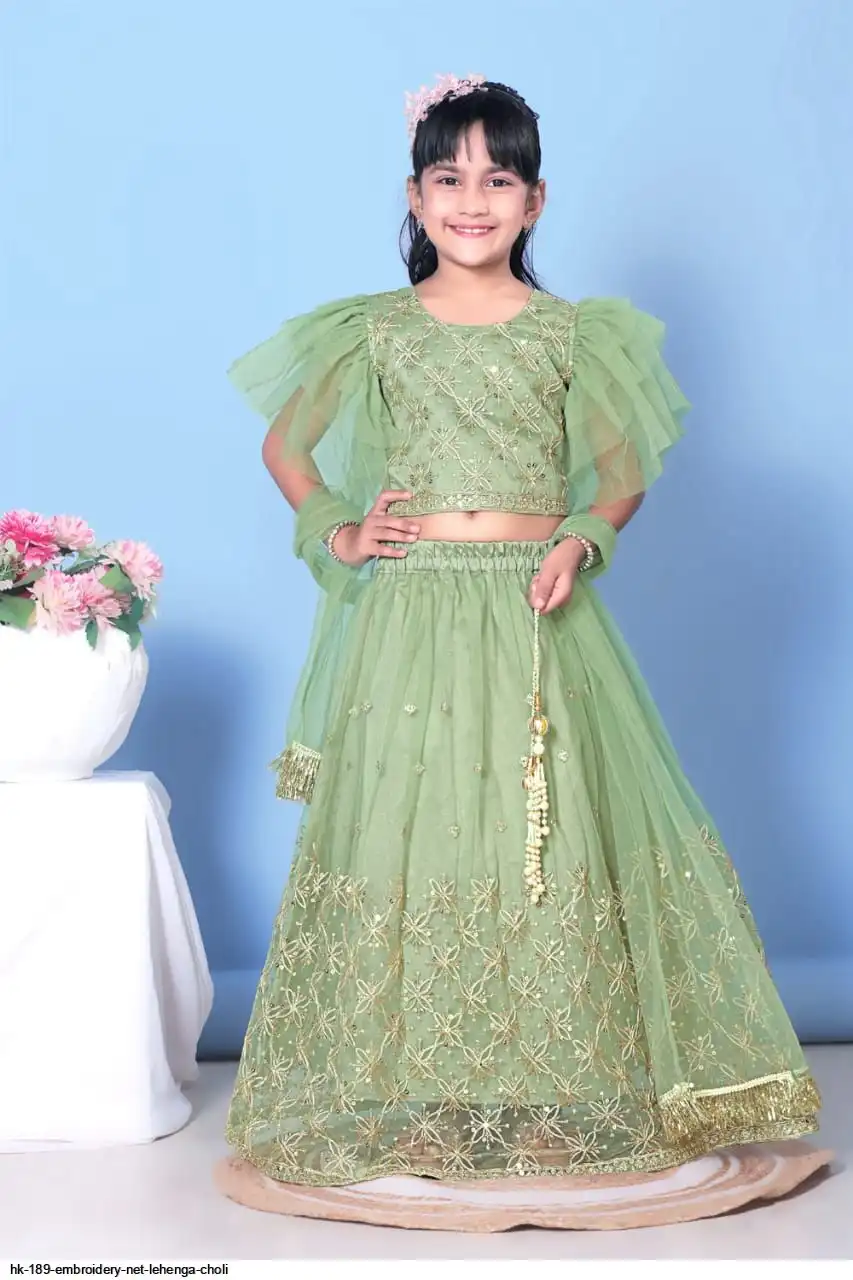 HK 189 EMBROIDERY NET LEHENGA CHOLI 2