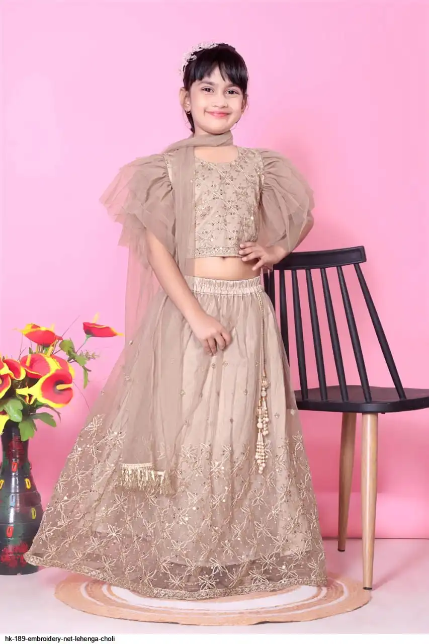 HK 189 EMBROIDERY NET LEHENGA CHOLI 6