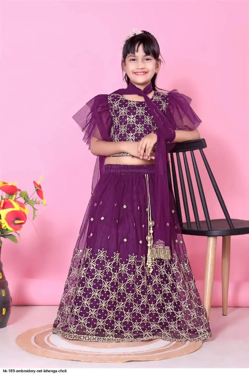 HK 189 EMBROIDERY NET LEHENGA CHOLI 9