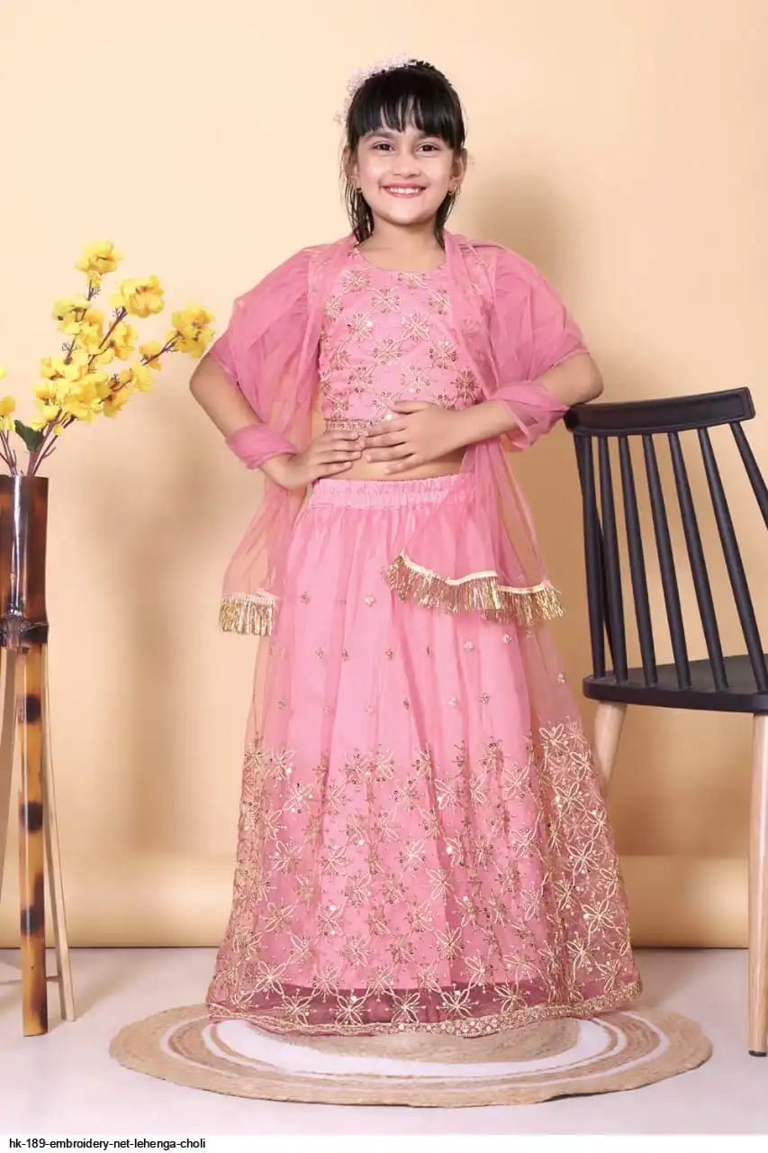HK 189 EMBROIDERY NET LEHENGA CHOLI 4