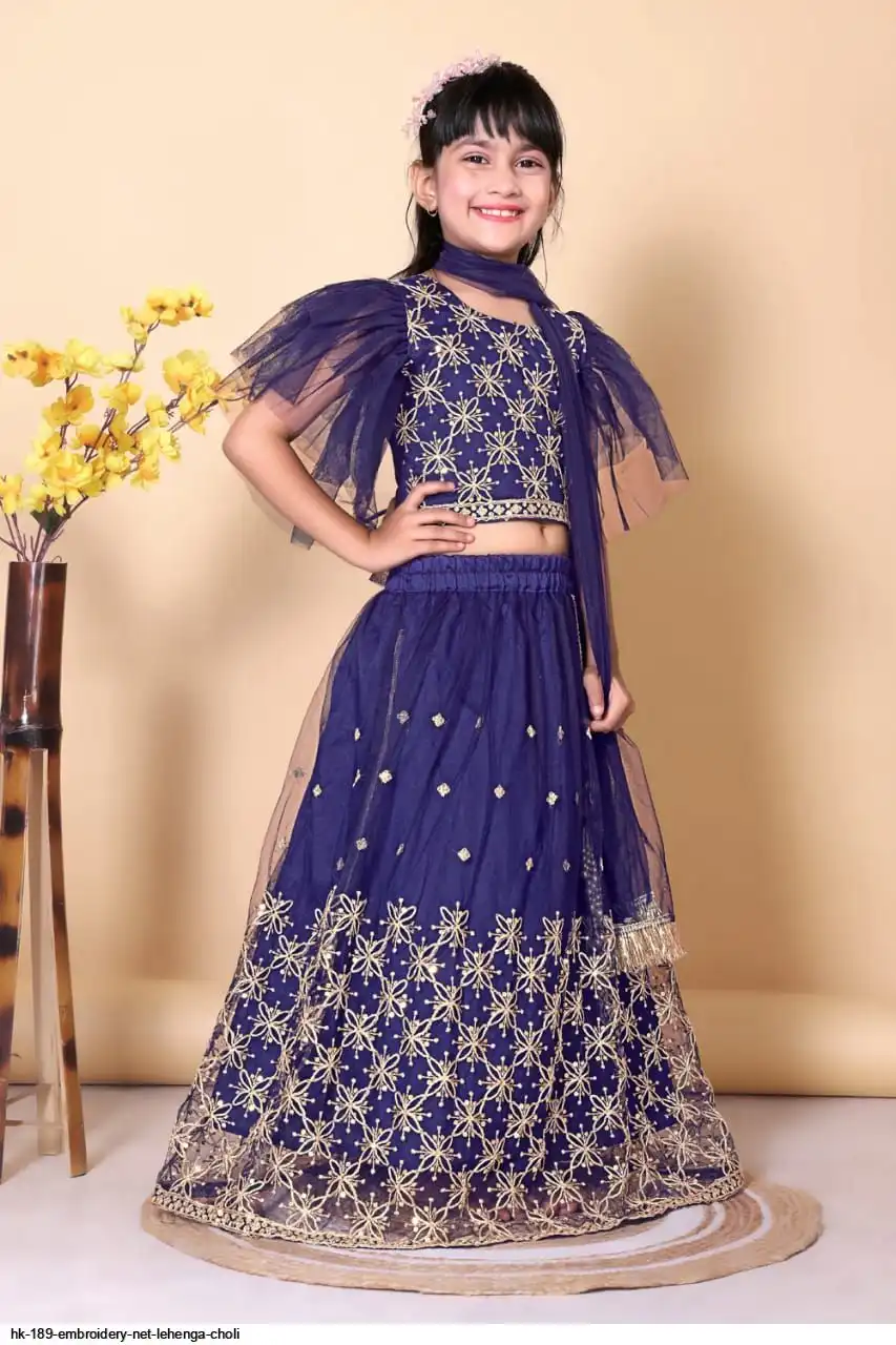HK 189 EMBROIDERY NET LEHENGA CHOLI 7