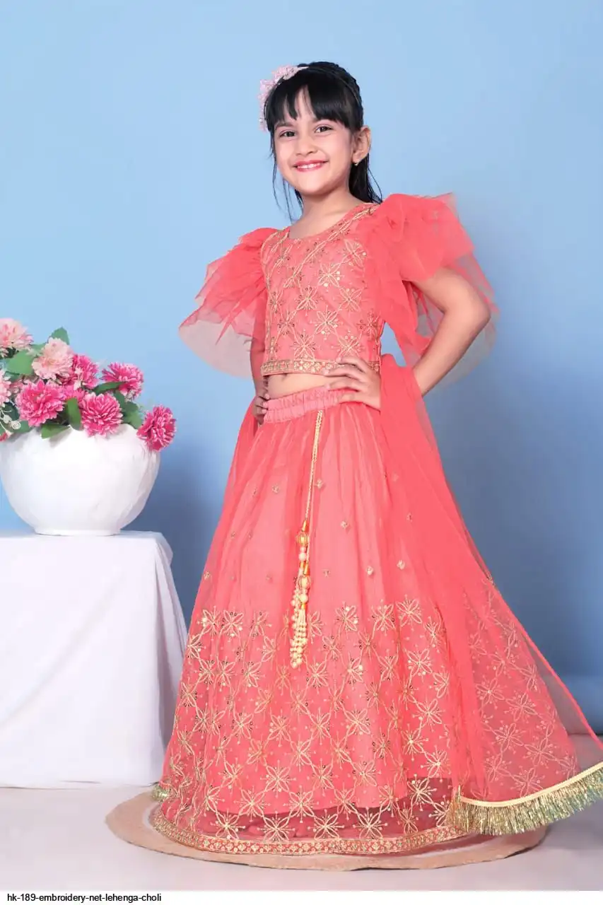 HK 189 EMBROIDERY NET LEHENGA CHOLI 8