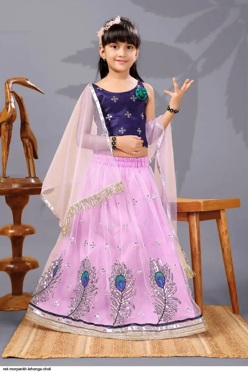 NET MORPANKH LEHENGA CHOLI 4