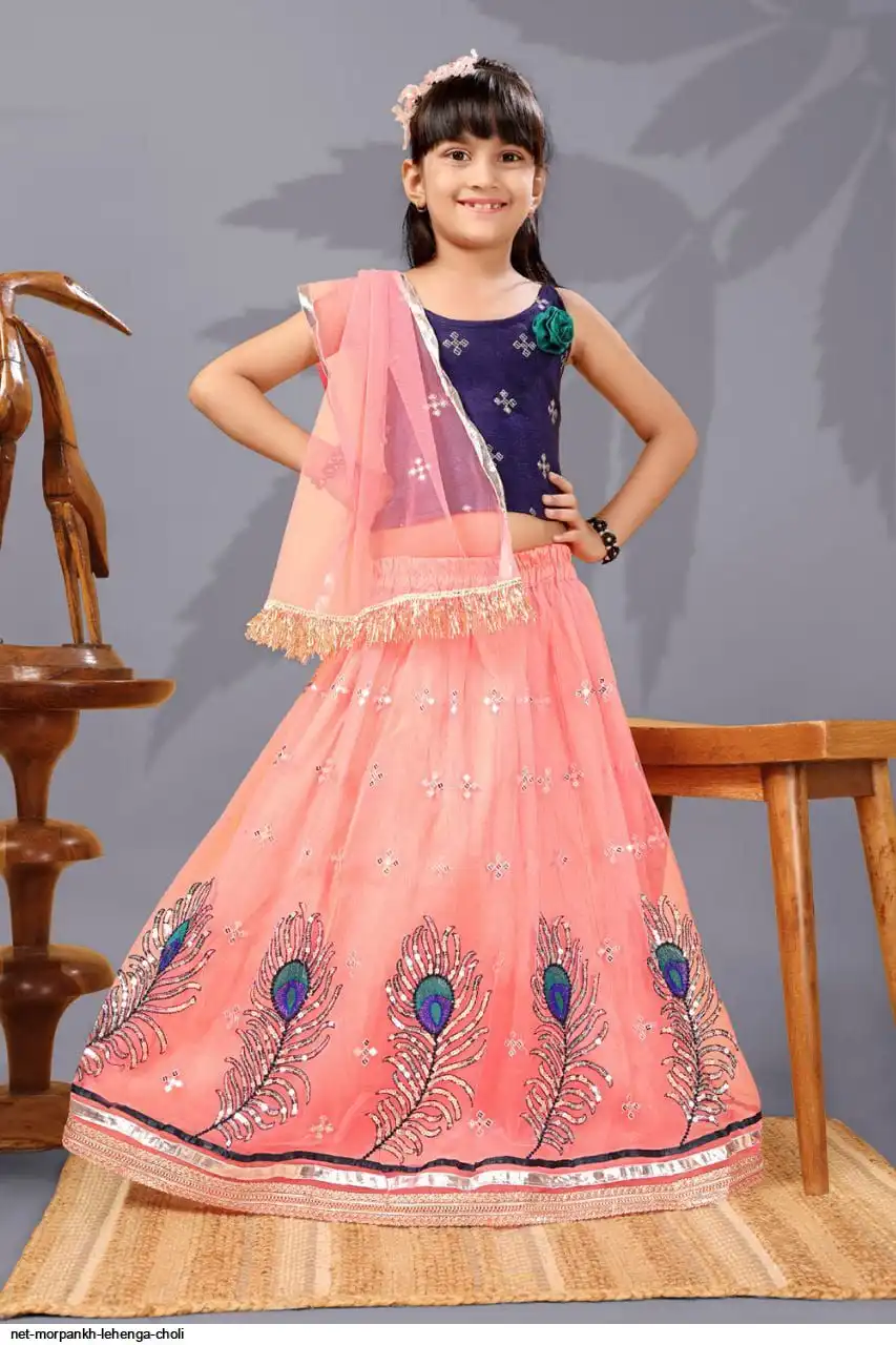 NET MORPANKH LEHENGA CHOLI 8