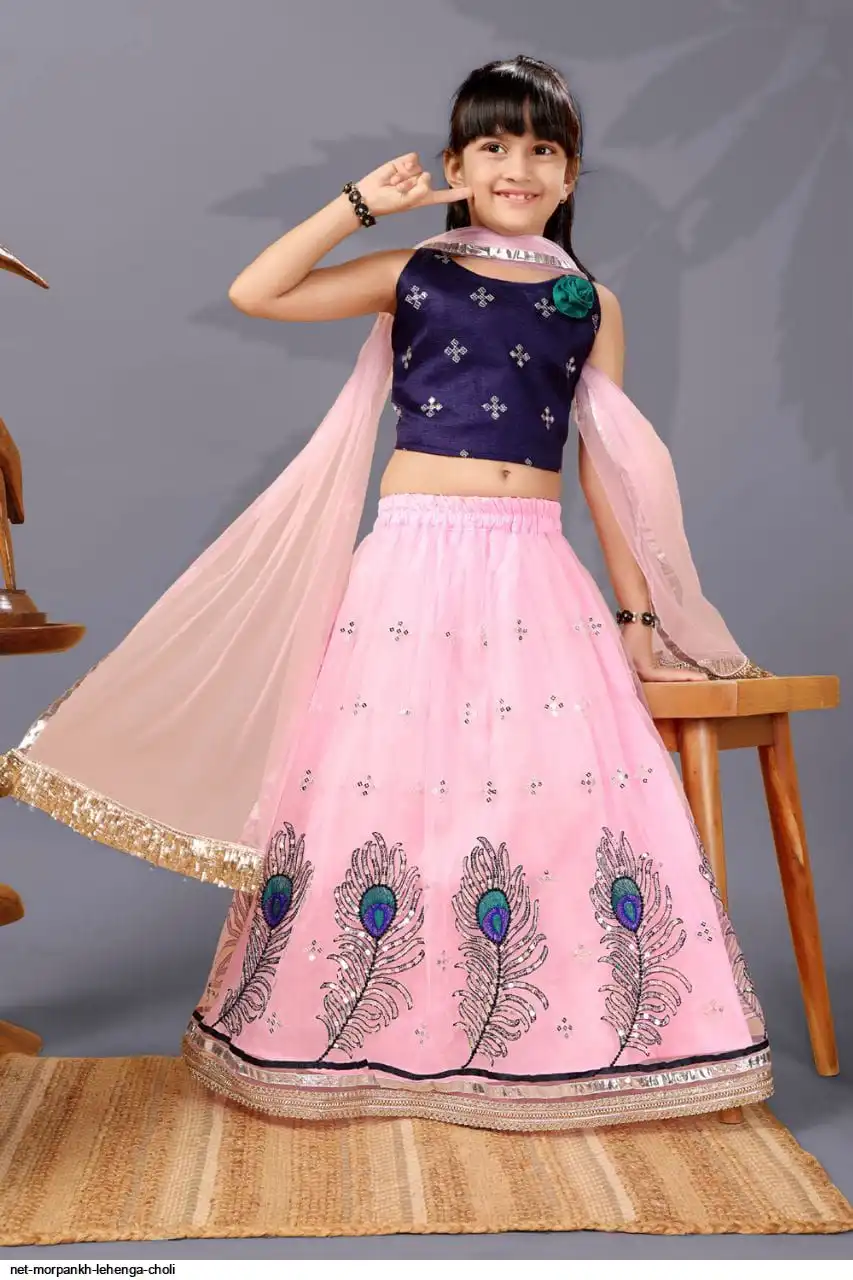 NET MORPANKH LEHENGA CHOLI 2