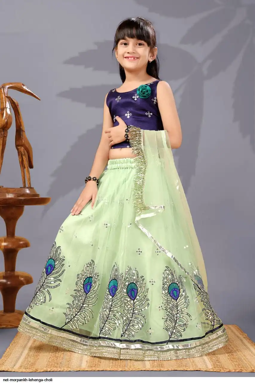 NET MORPANKH LEHENGA CHOLI 9