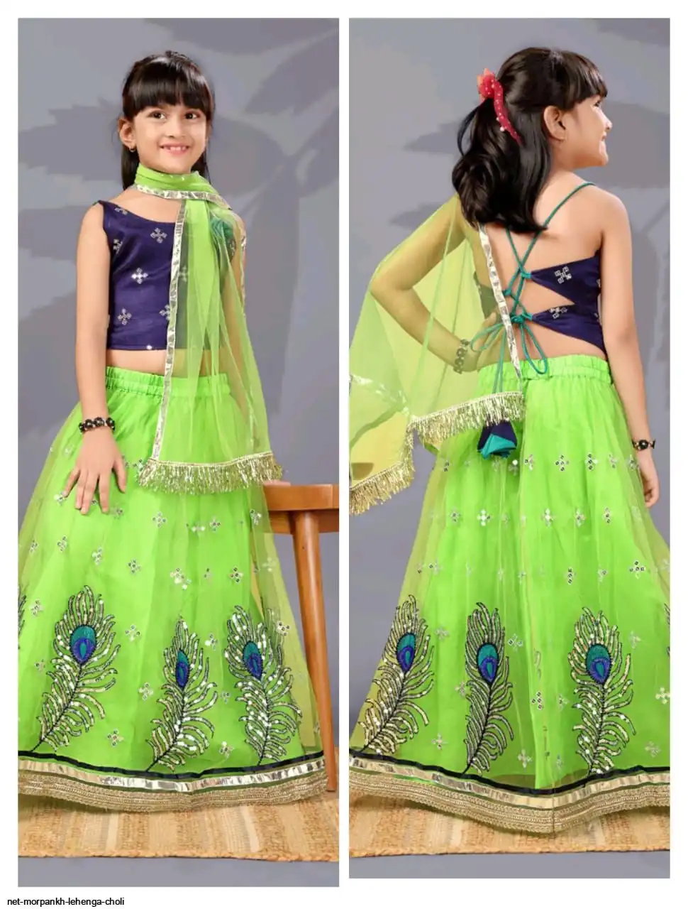 NET MORPANKH LEHENGA CHOLI 10