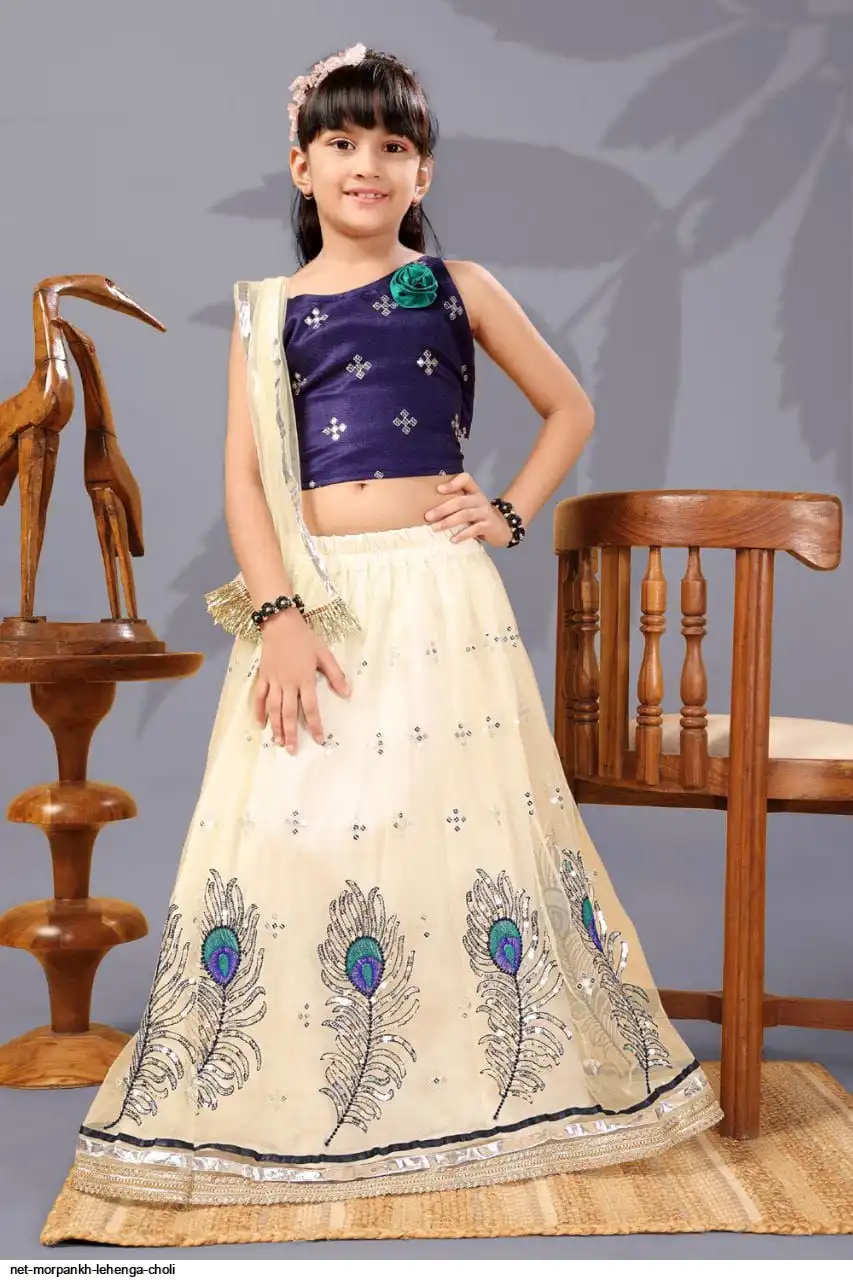 NET MORPANKH LEHENGA CHOLI 7