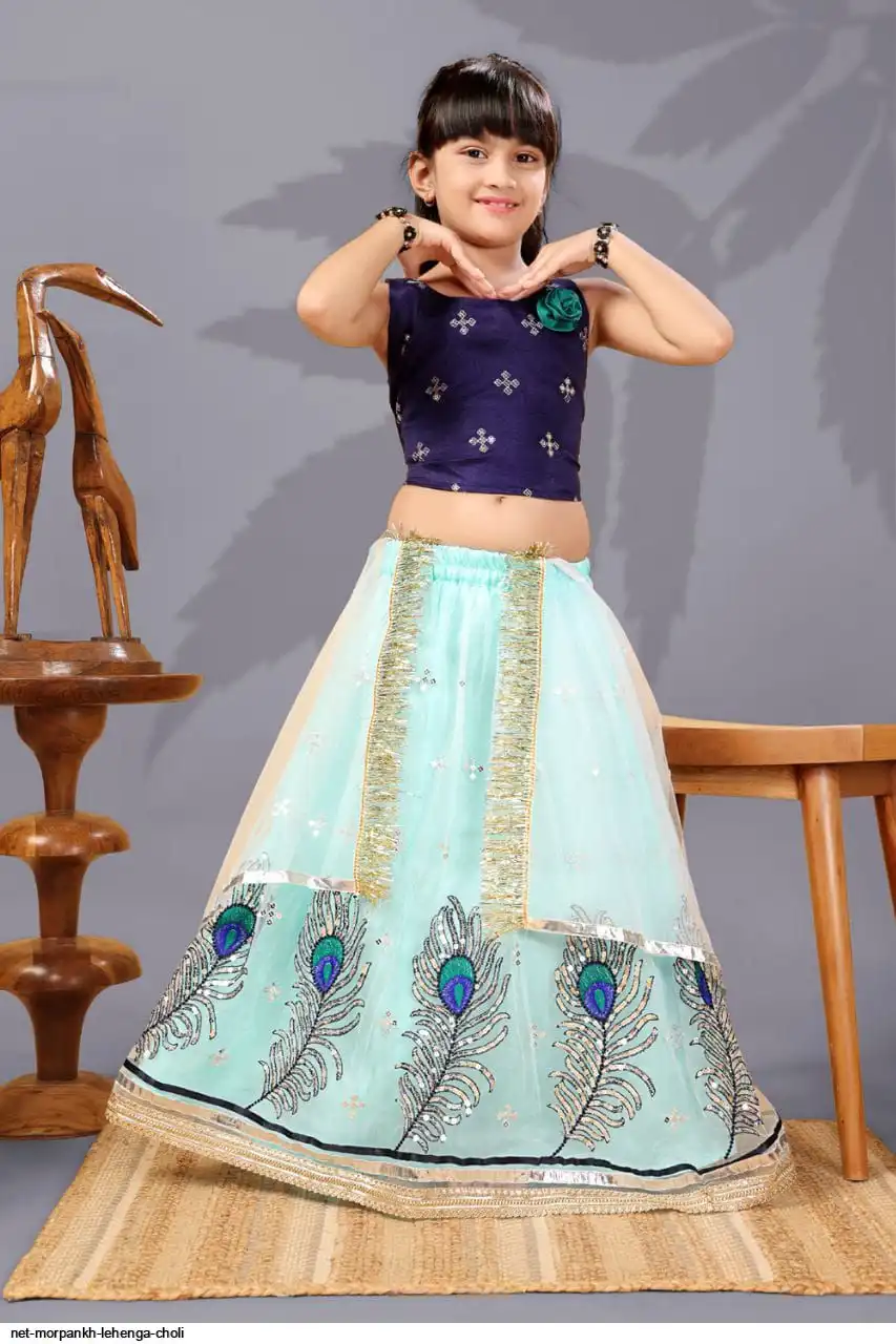 NET MORPANKH LEHENGA CHOLI 6