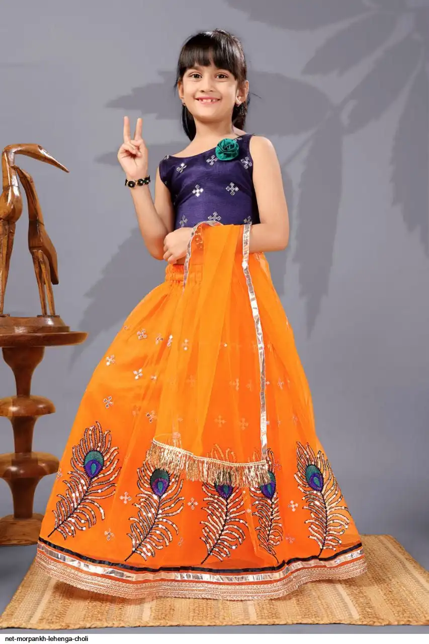 NET MORPANKH LEHENGA CHOLI 3