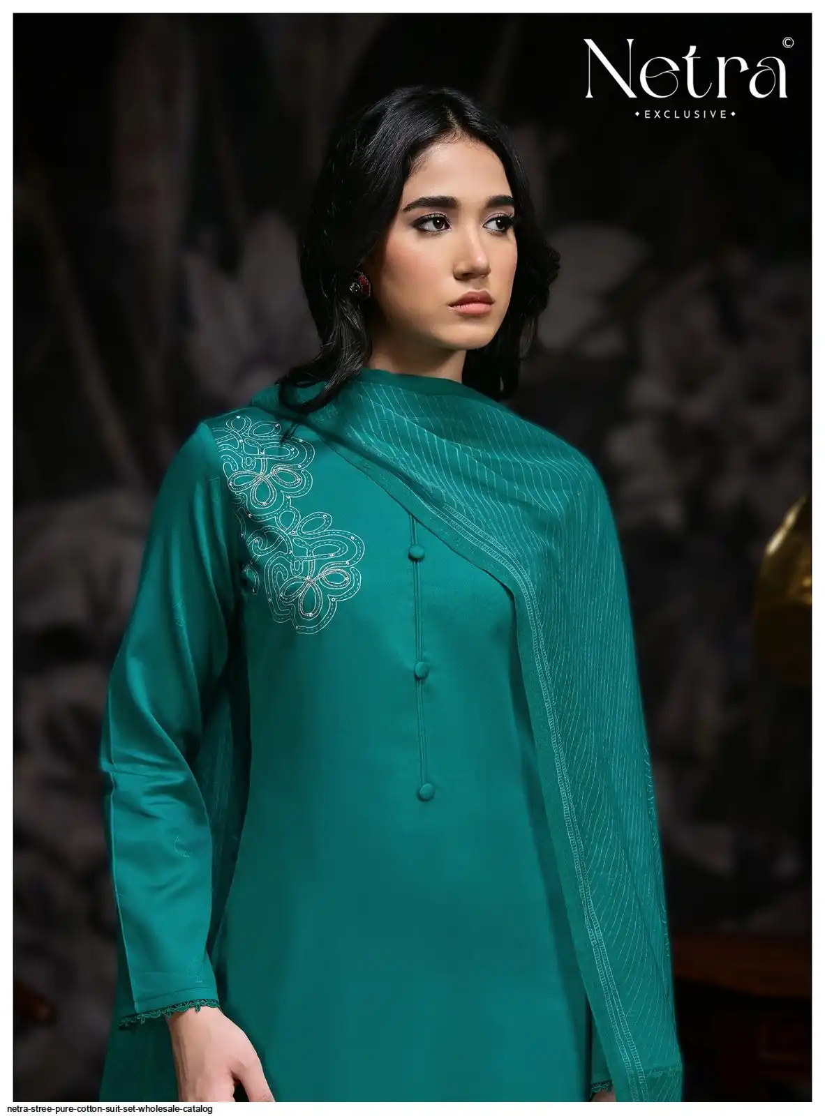 Netra Raut NETRA EXCLUSIVE Stree Premium Pure Cotton Wholesale Catalog