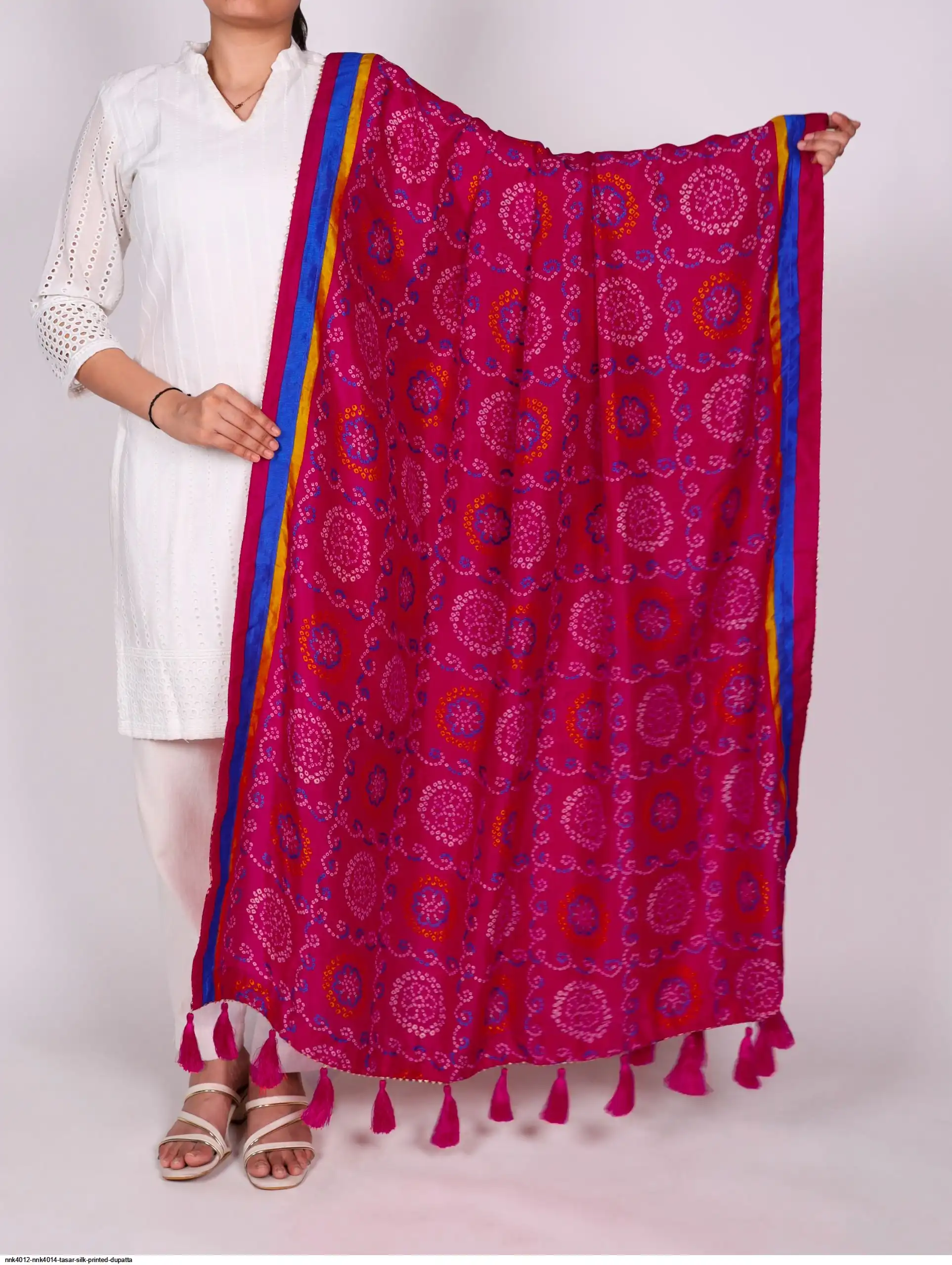 NNK4012 NNK4014 TASAR SILK PRINTED DUPATTA 16