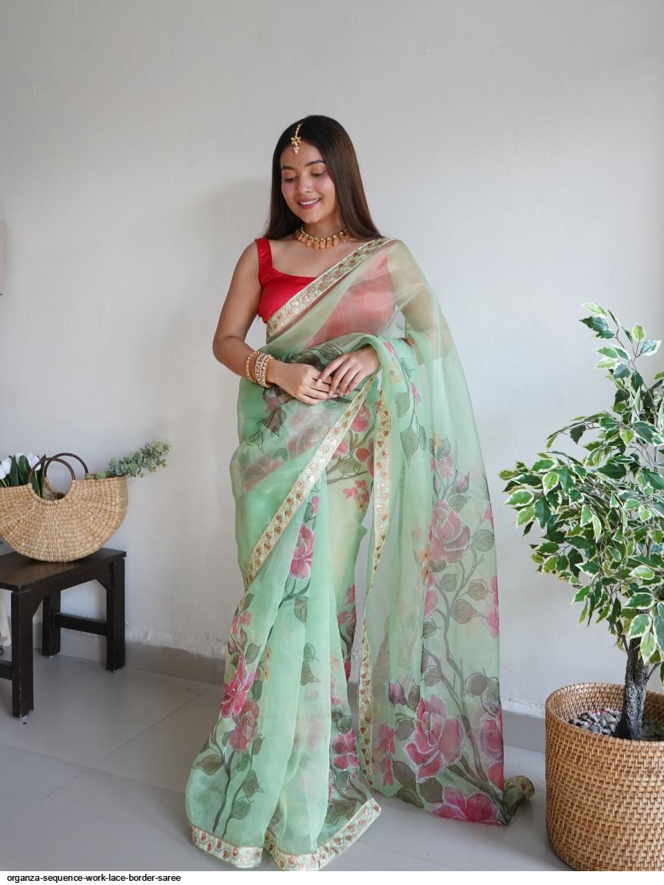 Organza Sequence Work Lace border saree