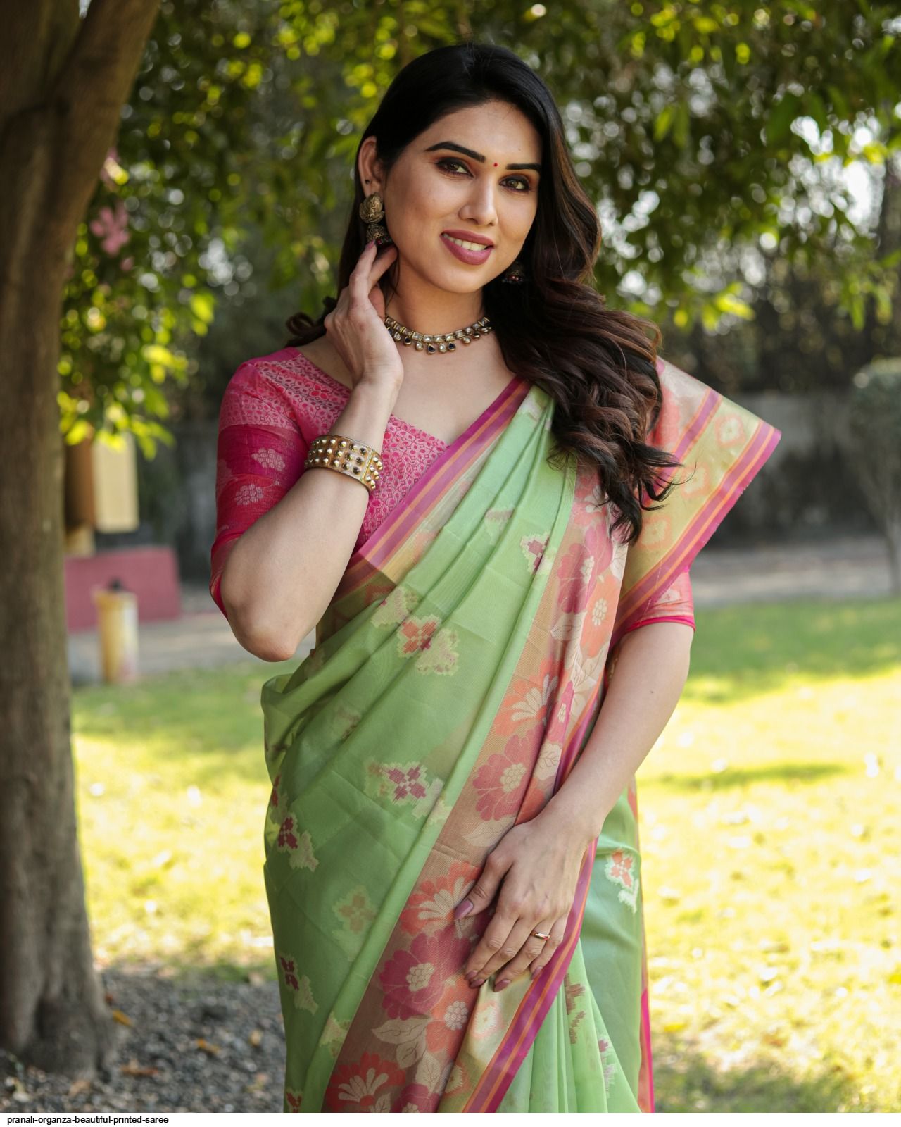 PRANALI Organza beautiful printed saree