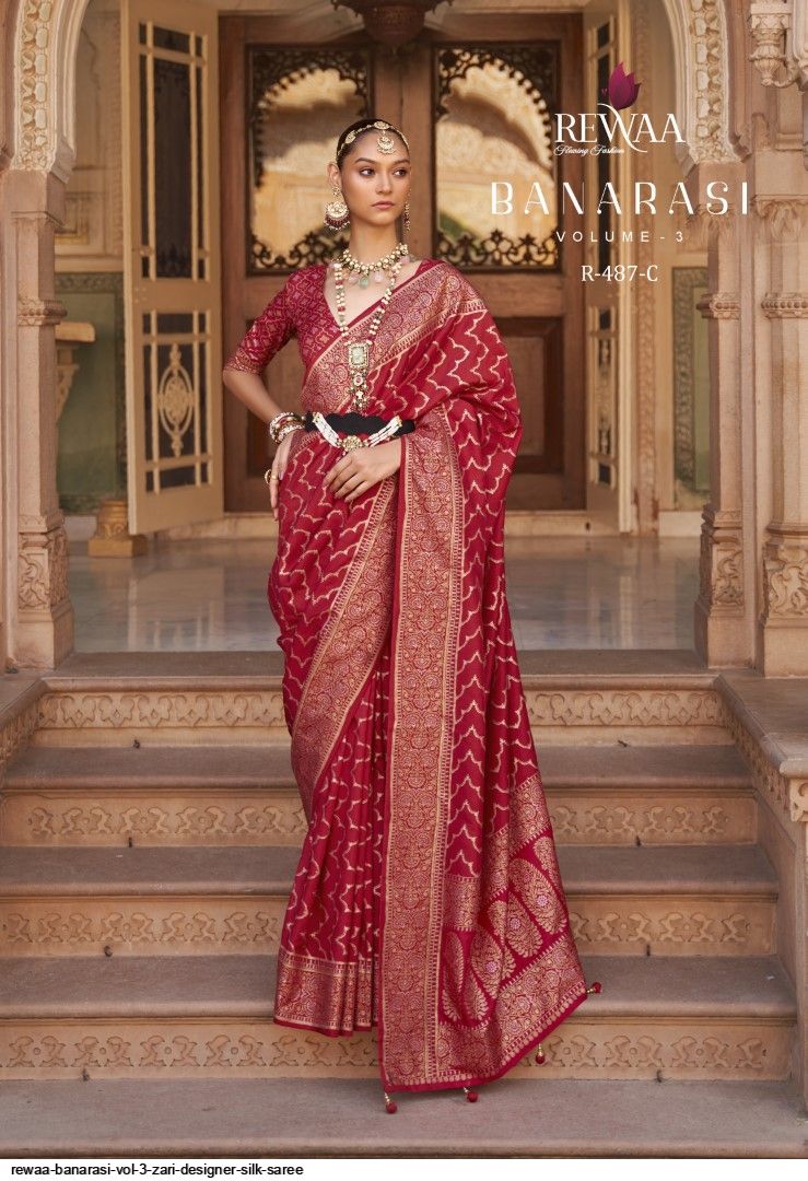 Up Your Shaadi Game With These Designs for Banarasi Saree With Price |  Sabyasachi dresses, Sabyasachi sarees, Saree look