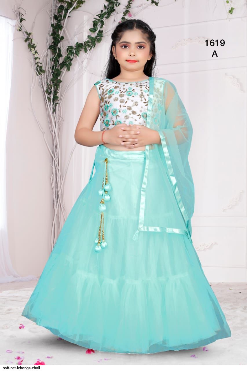 SOFT NET LEHENGA CHOLI A